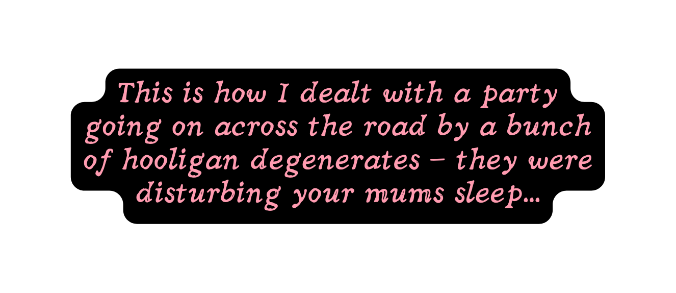 This is how I dealt with a party going on across the road by a bunch of hooligan degenerates they were disturbing your mums sleep