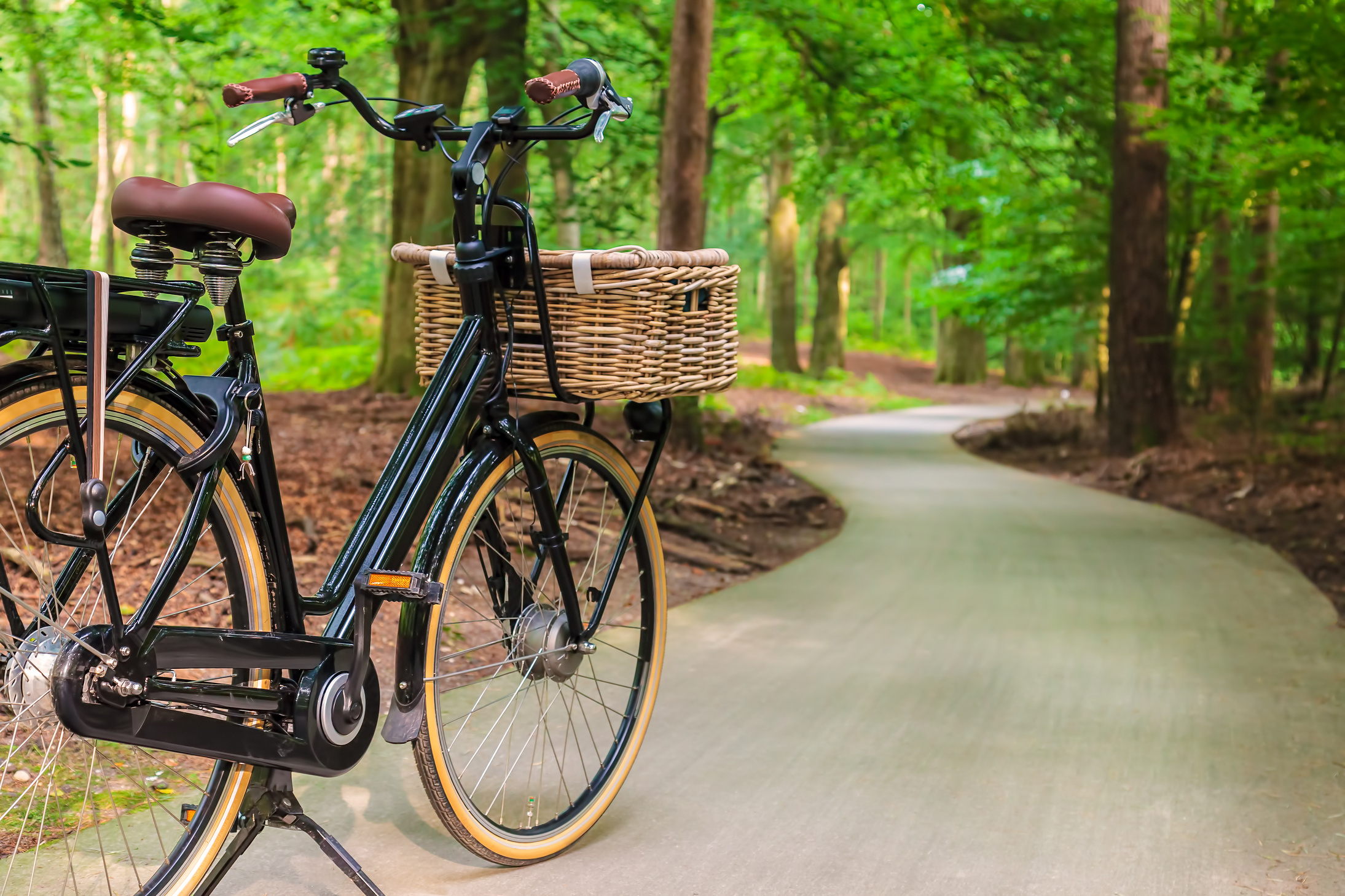 Electric Black Cargo Bicycle 