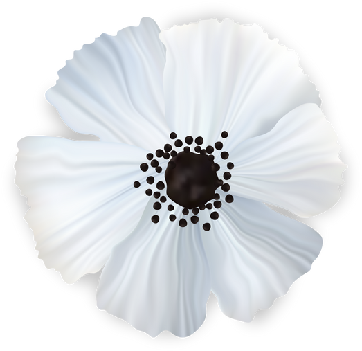 Poppy White