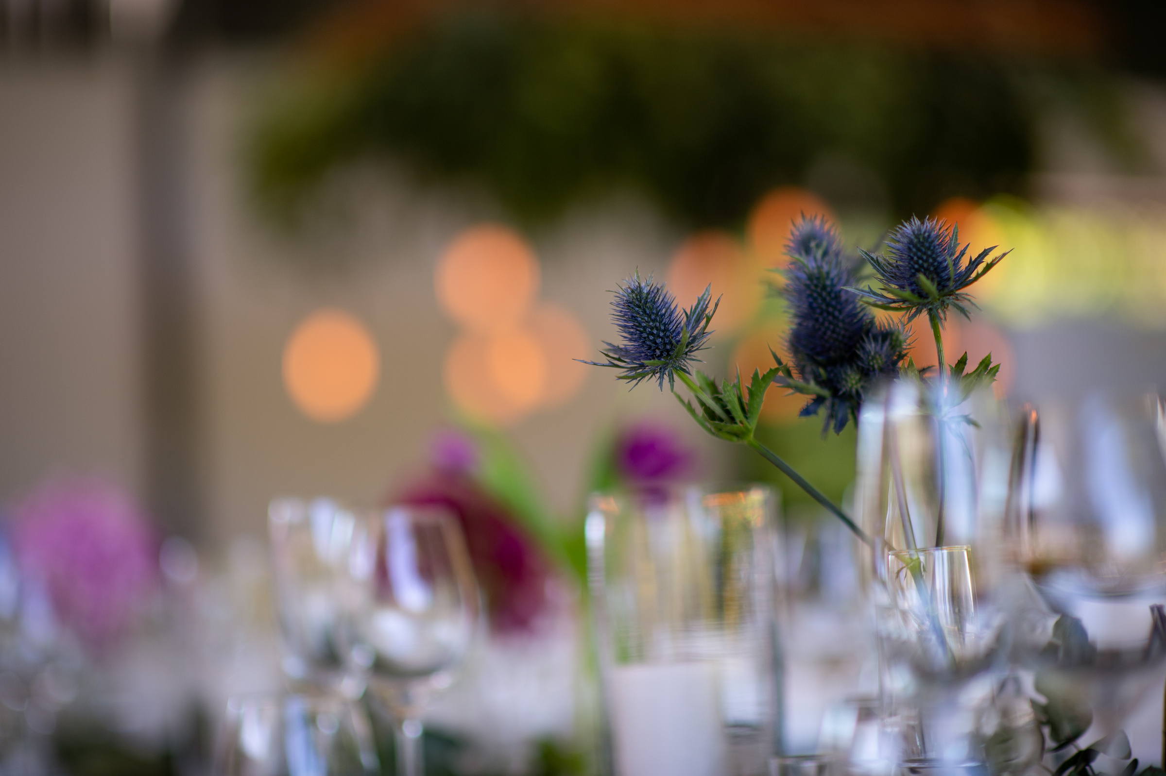 Scottish thistle flower arrangement at wedding reception