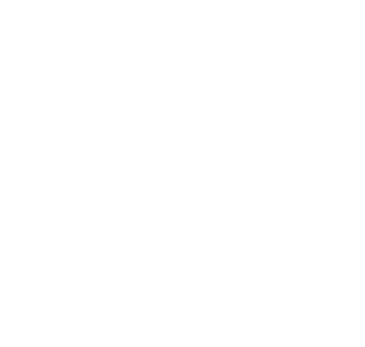 Hand Drawn Octopus Illustration