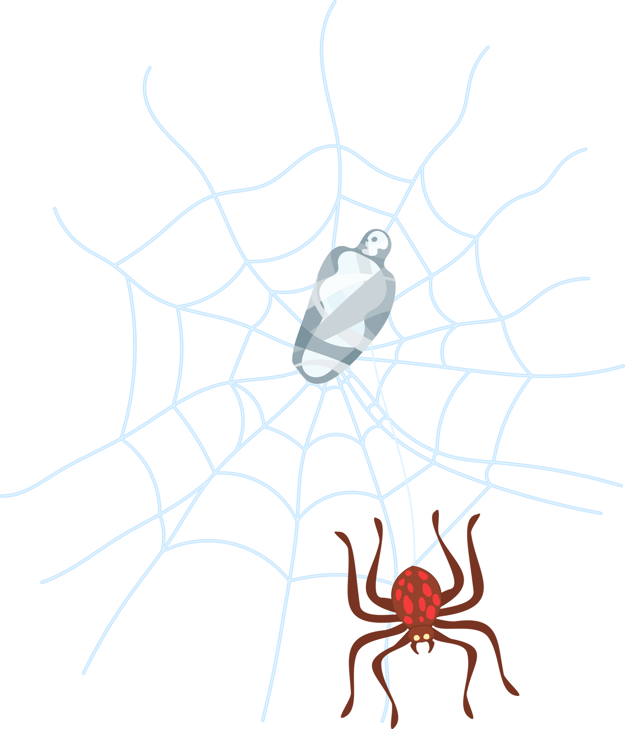 Spider with a Victim Illustration