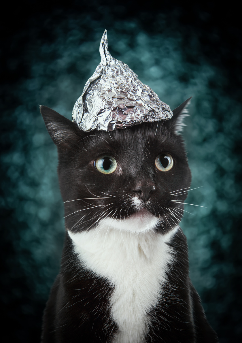 Black and White Tuxedo Cat  in a Tin Foil Hat