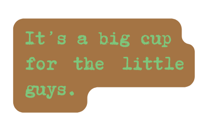 It s a big cup for the little guys