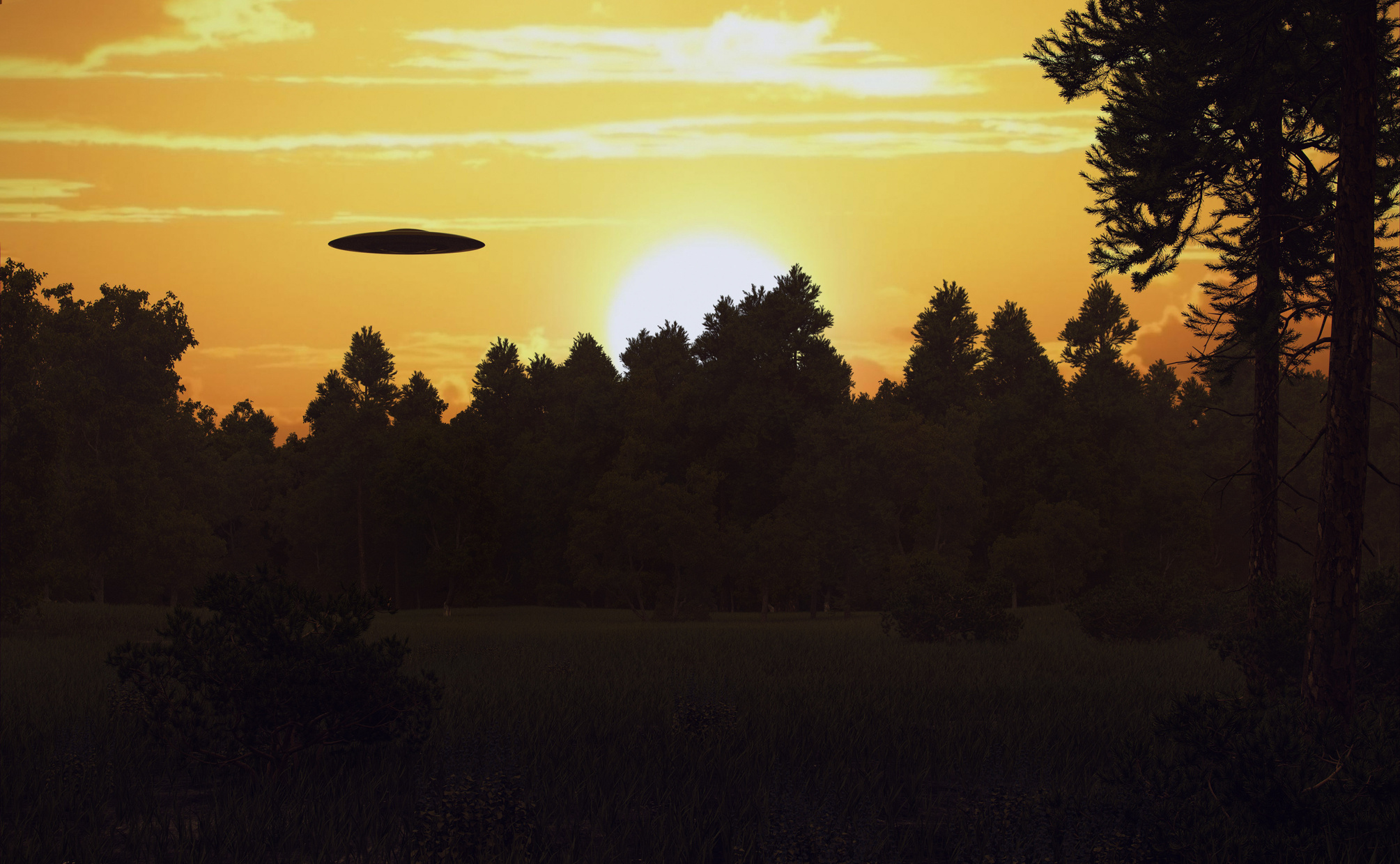 Ufo over trees