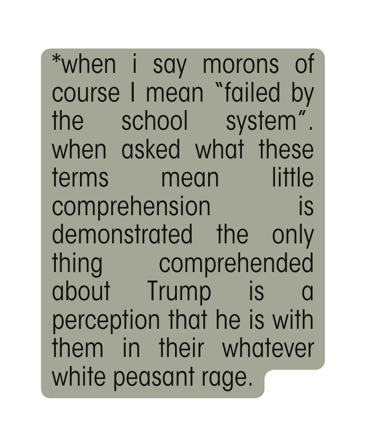 when i say morons of course I mean failed by the school system when asked what these terms mean little comprehension is demonstrated the only thing comprehended about Trump is a perception that he is with them in their whatever white peasant rage