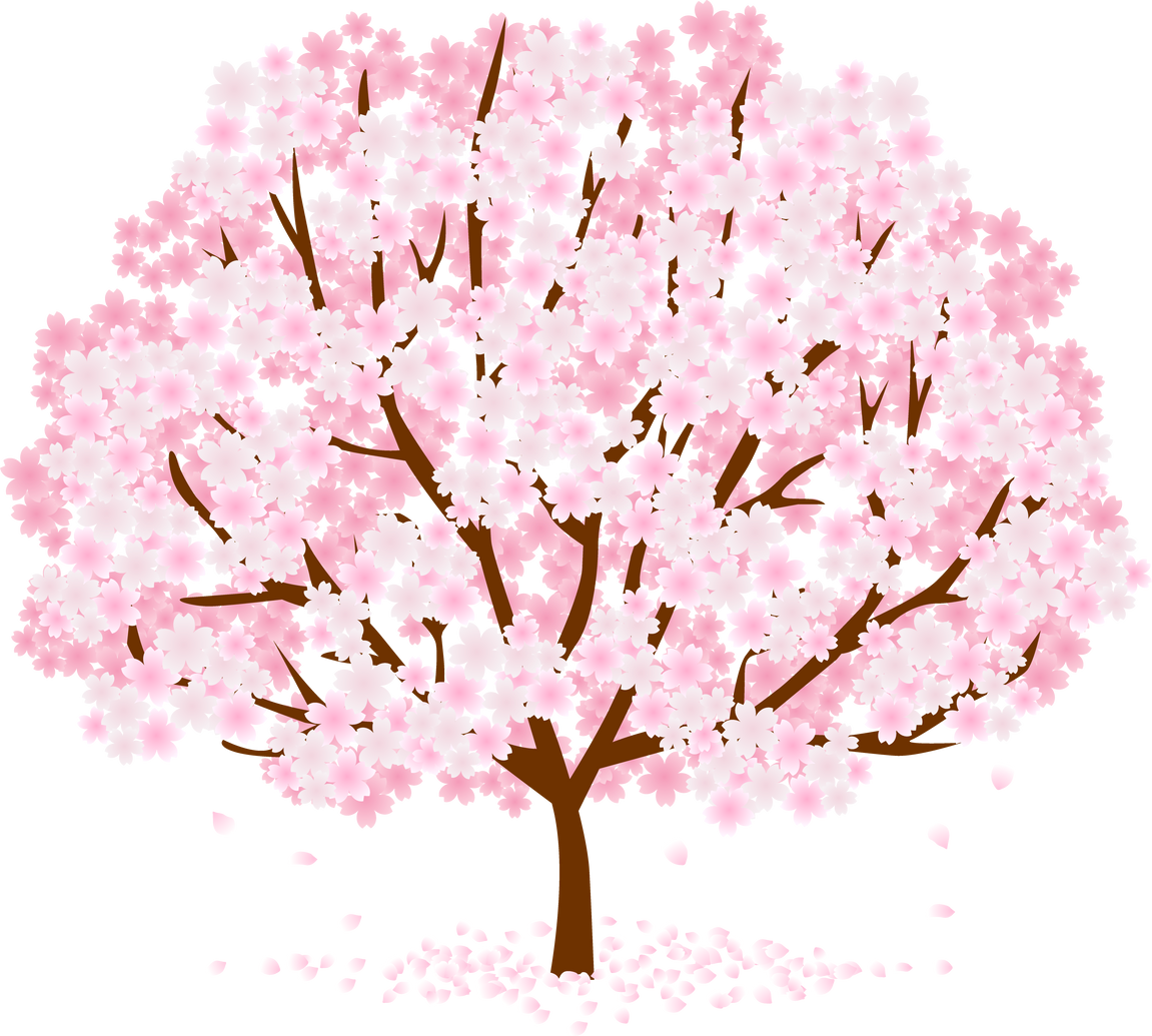 Sakura Tree Illustration