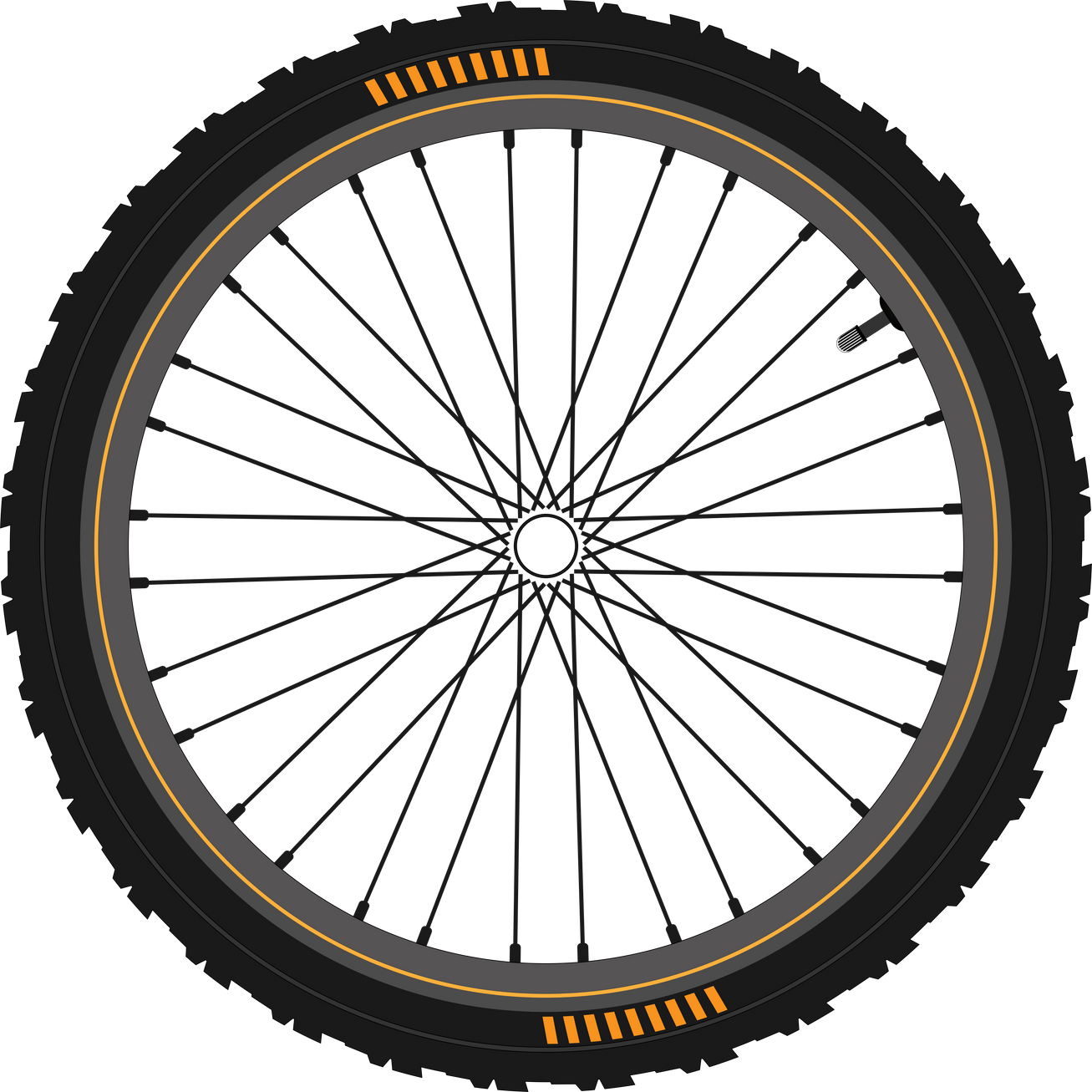 Mountain Bike Wheel