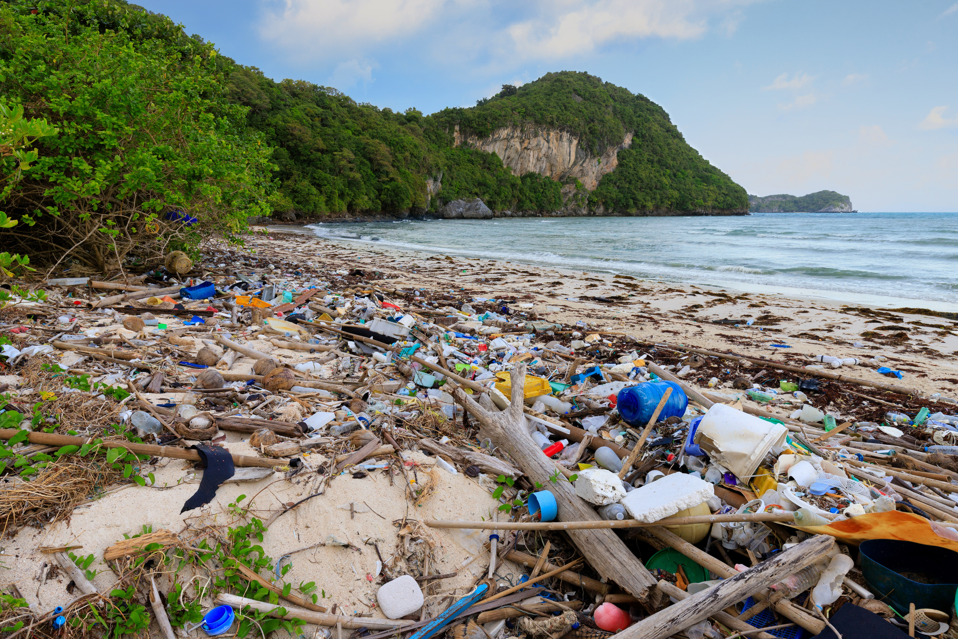 Plastic Pollution in the Beach