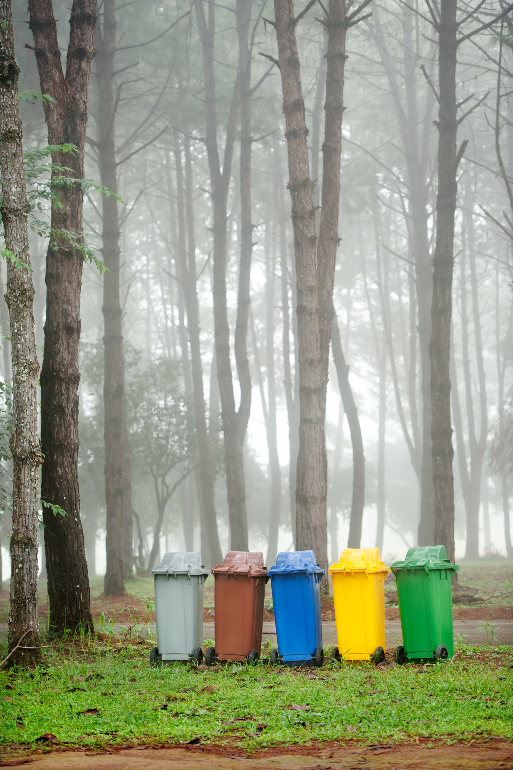 5 Colors Recycle Bins