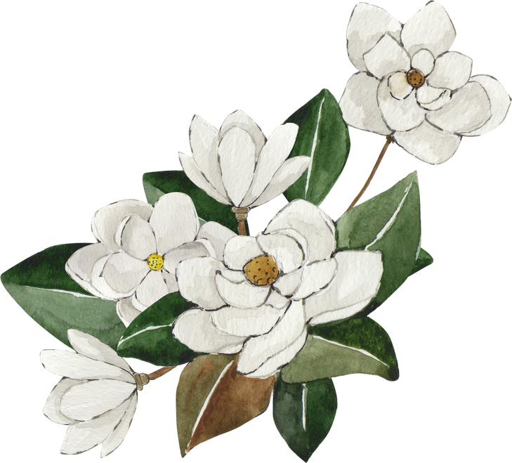 White Magnolia Flowers Watercolor